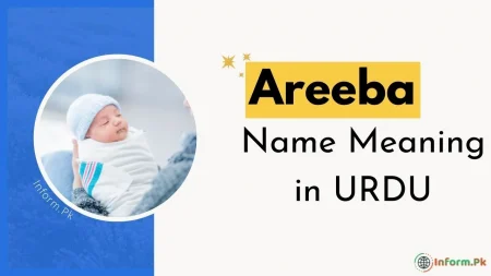 Areeba Name Meaning in Urdu